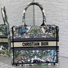 Christian Dior Shopping Bags